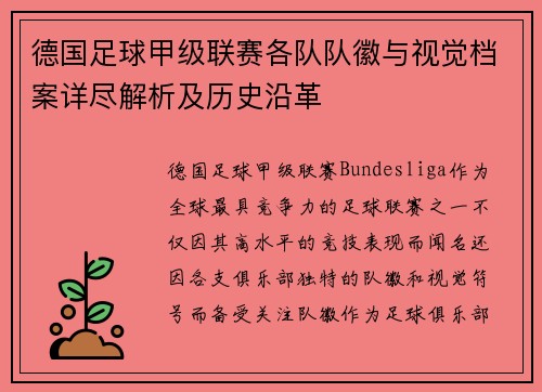 德国足球甲级联赛各队队徽与视觉档案详尽解析及历史沿革