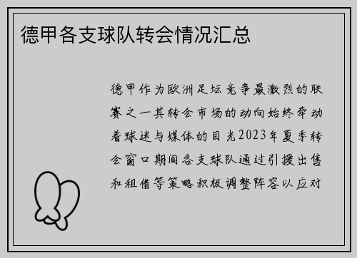 德甲各支球队转会情况汇总